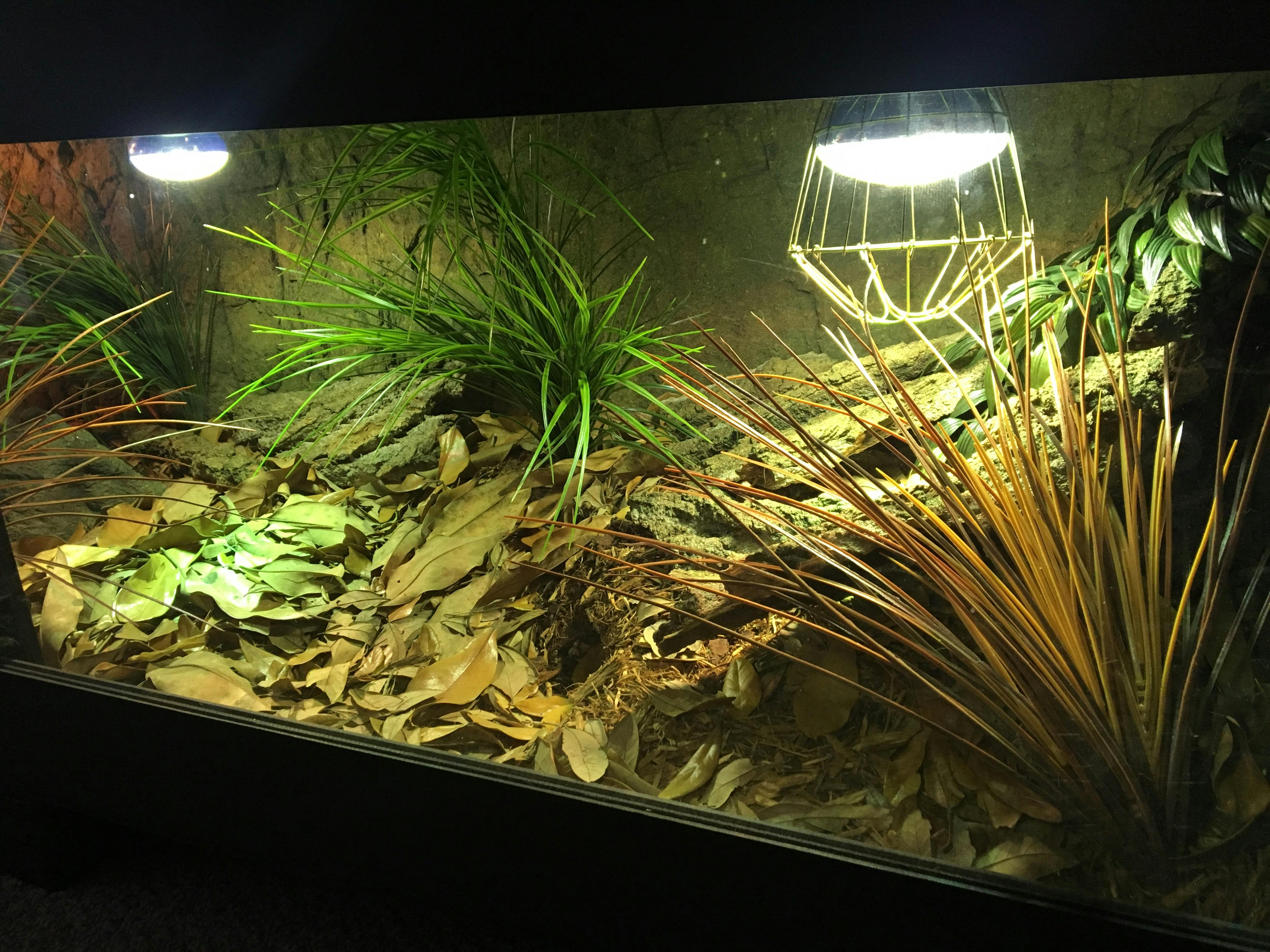 6'x2'x2' Kages Custom Reptile Enclosure / PVC Reptile Cage